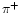 $\pi^{+}$