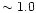 $\sim 1.0$