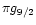 $\pi g_{9/2}$