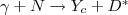 $\gamma + N\rightarrow Y_c + {D}^*$