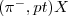 $ (\pi^{-},pt)X$