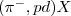 $ (\pi^{-}, pd)X$