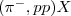 $ (\pi^{-},pp)X$