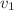 $v_{1}$