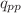 $q_{pp}$