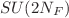 $SU(2N_{F})$