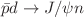 $ \bar{p}d\rightarrow J/\psi n$