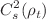 $$C^2_s(\rho _t)$$