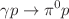 $$\gamma p \rightarrow \pi ^0 p$$
