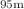 $$^{95\mathrm m}$$