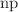 $$\text {n}\text {p}$$