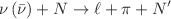 $$\nu \,(\bar{\nu }) + N \rightarrow \ell + \pi + N'$$