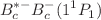 $$B_{c}^{*-}B_{c}^{-}(1^{1}P_{1})$$